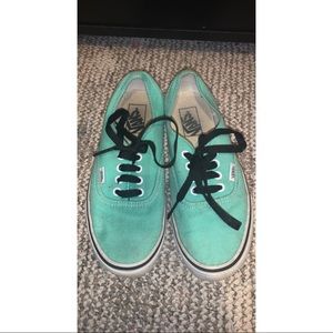 mint vans